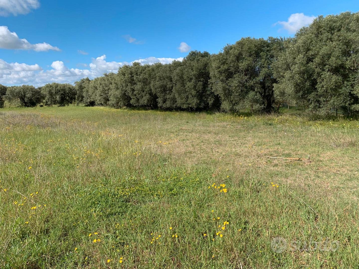 Terreno agricolo - Vista 2
