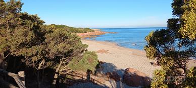 Sardegna - Appartamento in Villetta indipendente