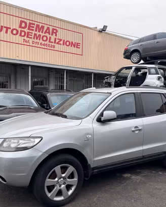 RICAMBI HYUNDAI SANTA FE' D4EB