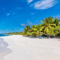 Direttore Tecnico di Agenzia Viaggi e Turismo