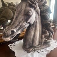 Testa cavallo cemento e polveredi marmo