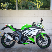 Kawasaki ninja 300 ABS, 30th Anniversary