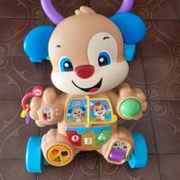 Cagnolino primi passi