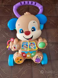 Cagnolino primi passi