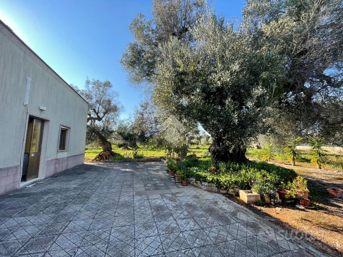 Casa – Ceglie Messapica, Brindisi - Vista 3