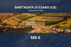 Immobile in asta di 1715 m² a Sant'Agata di Esaro