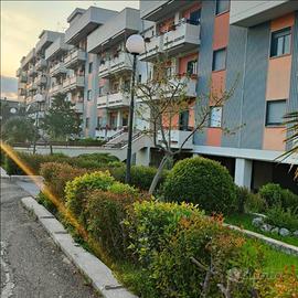 Appartamento 100 mq con box auto e giardino