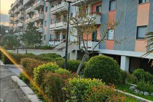 Appartamento 100 mq con box auto e giardino