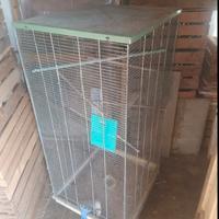 Gabbia per uccelli