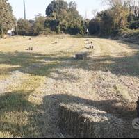 ballette paglia e fieno