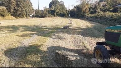 ballette paglia e fieno