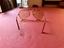 Immagine 2