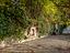 Immagine 11