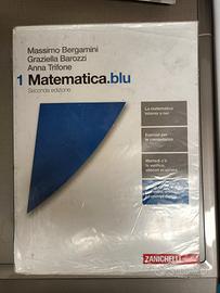 Matematica.blu vol. 1 