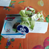 Guinzaglio (Redinelle) Primi passi