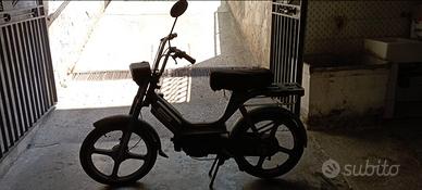 Piggio bravo