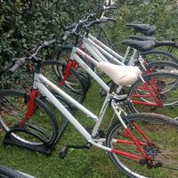 bici da donna