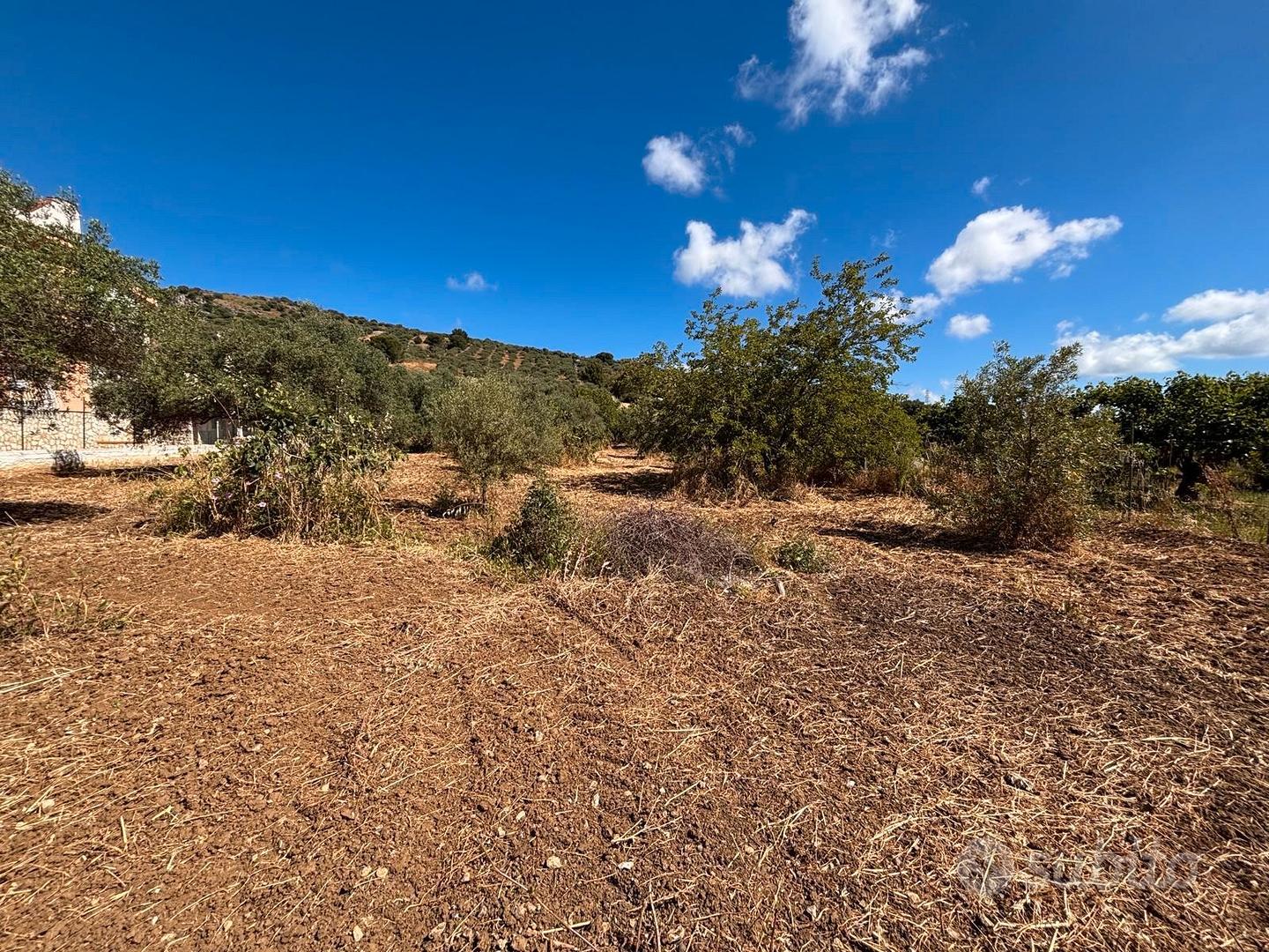 Terreno 5.000 mq - Vista 3