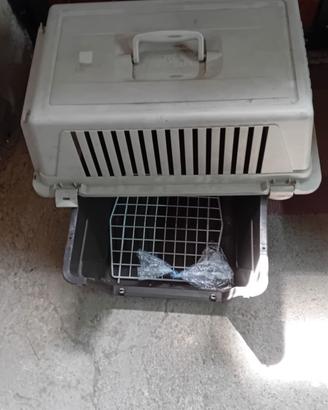 2 trasportini 
