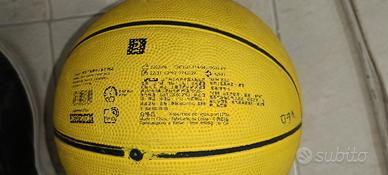 pallone da basket 
