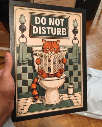 do not disturb (solo poster)