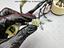 Immagine 26