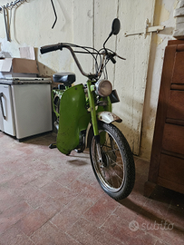 Motorino Malaguti 50