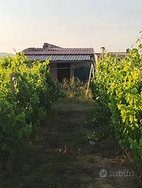 Villa o villino - Mineo
