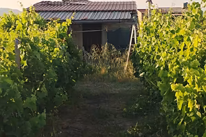 Villa o villino - Mineo