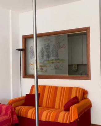 Palo Pole Dance Statico/Girevole acciaio (usato)