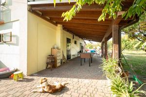 CASA INDIPENDENTE A VIGNOLA