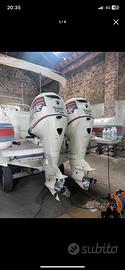 Coppia evinrude 250 e-tec