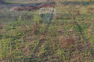 Terreno Edificabile - Caltagirone