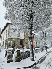 Per ufficio o negozio