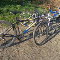 MTB usata