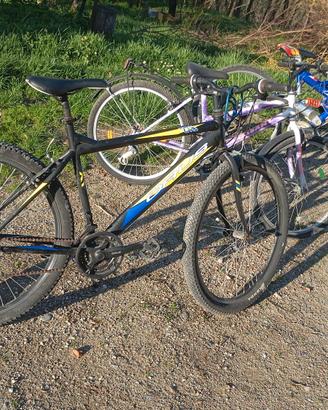 MTB usata