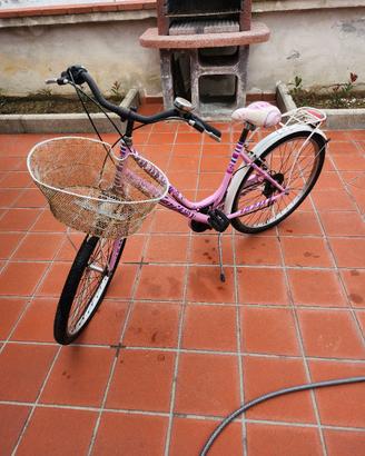 bicicletta alpina 26"