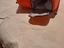 Immagine 2
