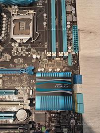 scheda madre Asus/Msi