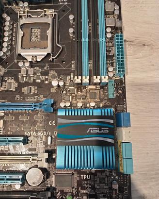 scheda madre Asus/Msi