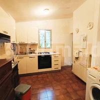 Terratetto Galeata [RIF FE018VRG]