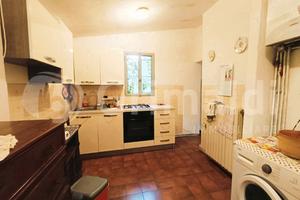 Terratetto Galeata [RIF FE018VRG]