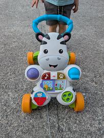 primi passi zebra