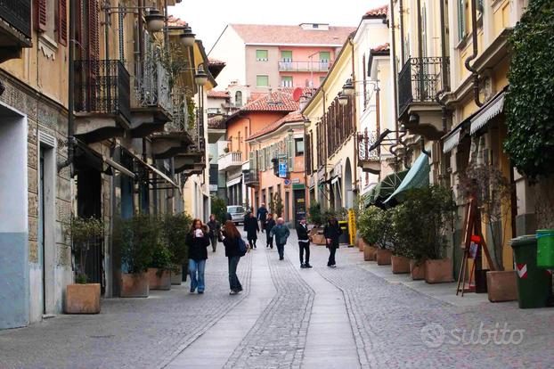 Trilocale rivoli con giardino privato