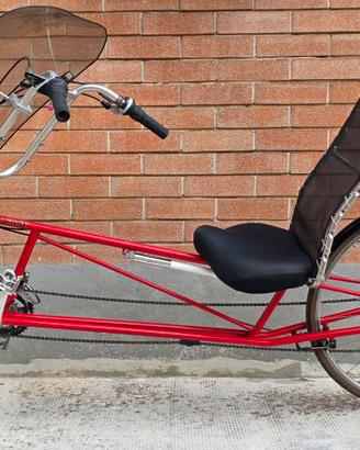 Bici reclinata Easy Racers Tour Easy