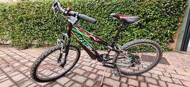 Bicicletta bambino 24 pollici