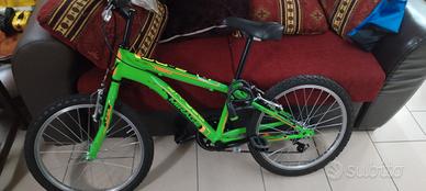 bicicletta bambino