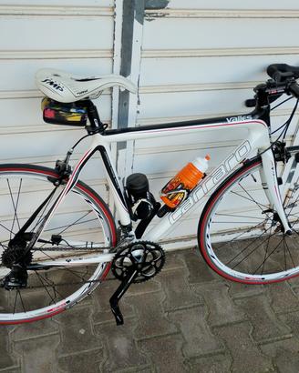 Bici da Corsa Carraro