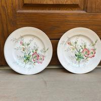 Piatti S. C. Richard 1800 vintage decoro piatto