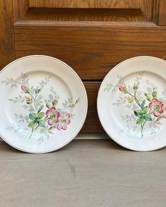 Piatti S. C. Richard 1800 vintage decoro piatto